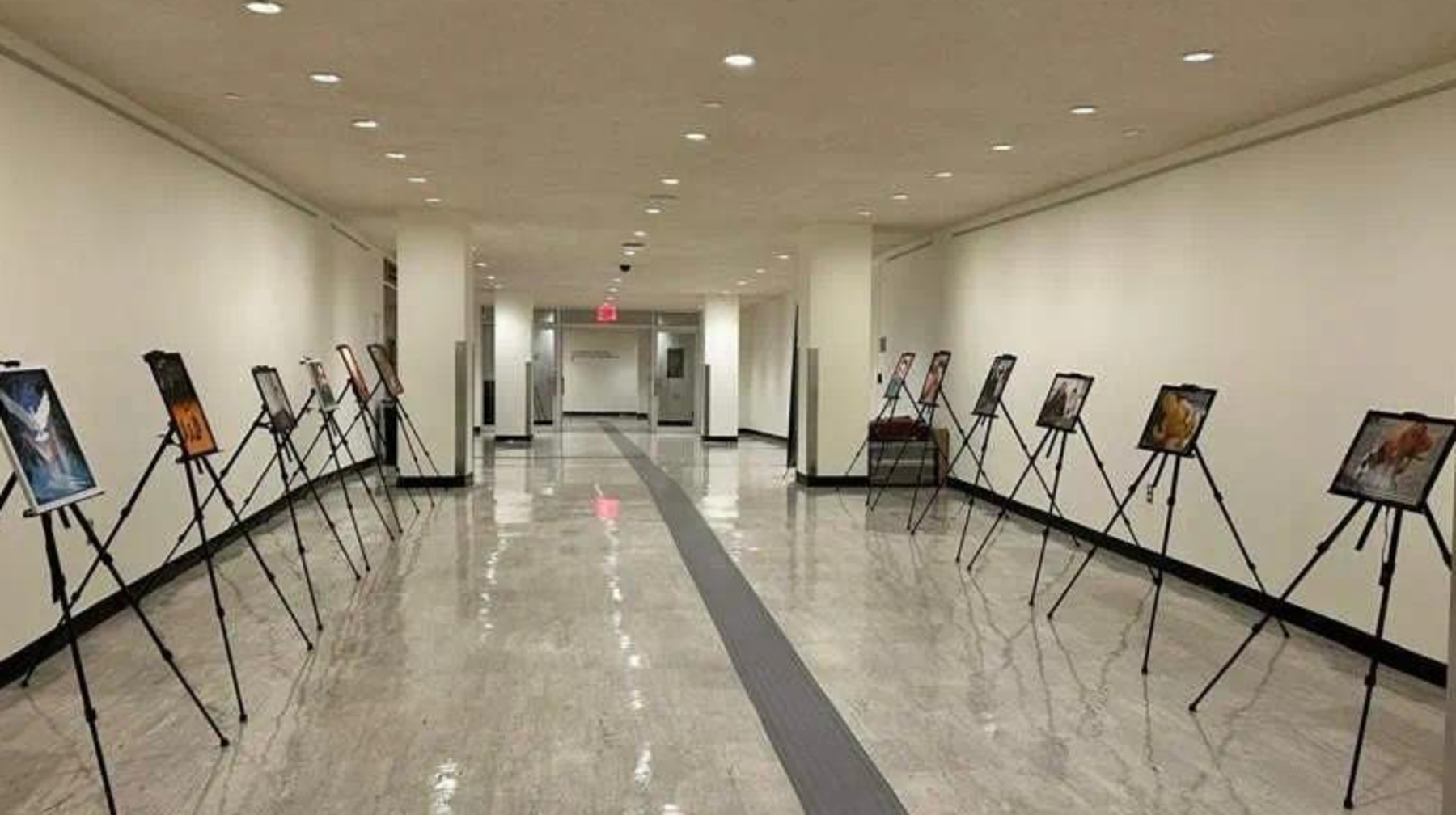 艺术家库尤科夫画展亮相纽约联合国总部