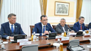 Сенат Төрағасы: Мемлекет басшысының конституциялық реформасы – мемлекет құрылысын дамытудың жаңа кезеңі