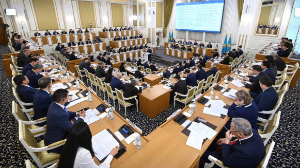 Жаңа Конституцияның жобасы: адами капитал мен адам құқықтарына басымдық