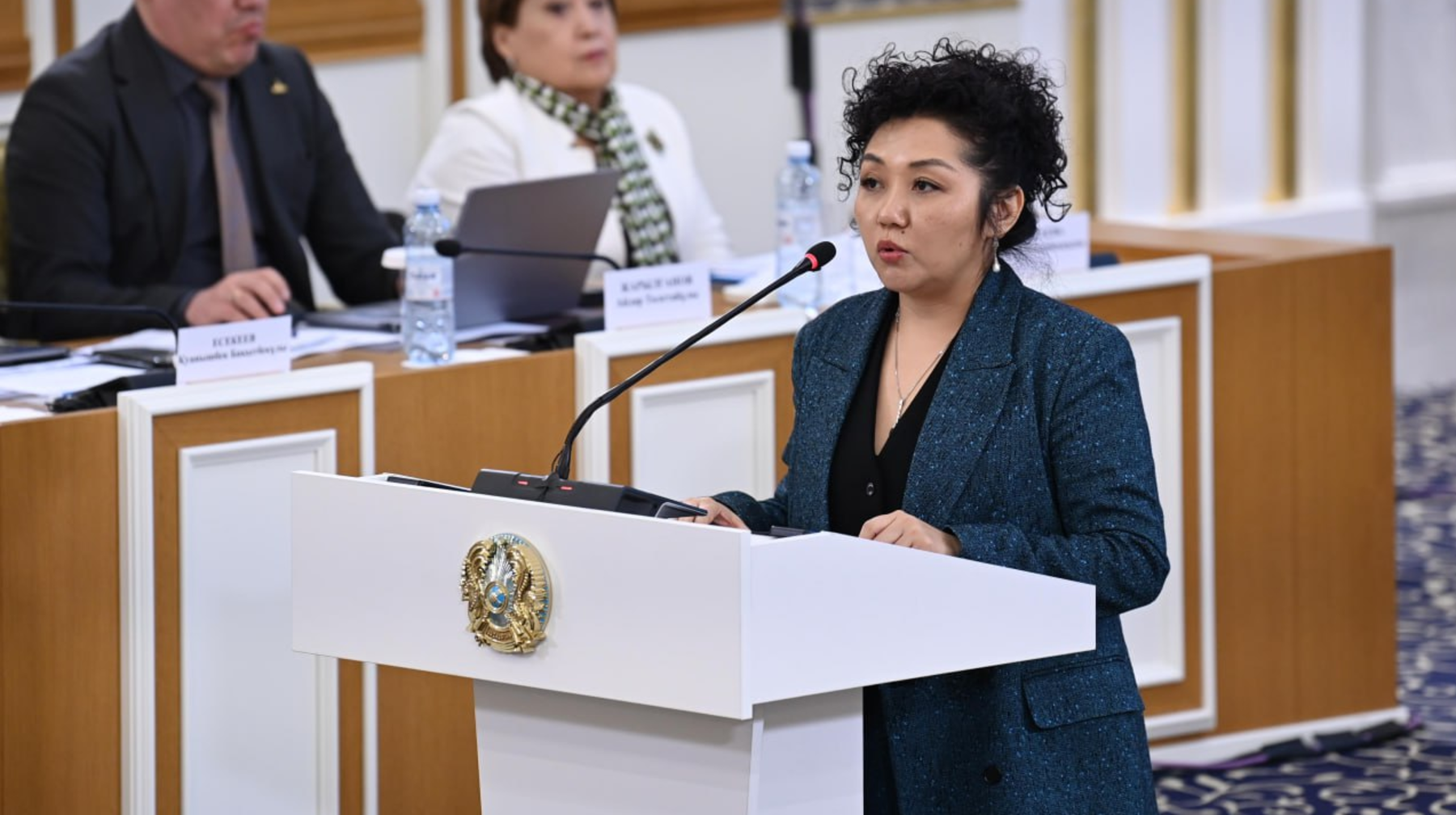 جاڭا كونستيتۋسيادا قازاقستاندىقتاردى مەملەكەتتىك ورگانداردىڭ زاڭسىز ارەكەتتەرىنەن قورعاۋ ۇسىنىلدى