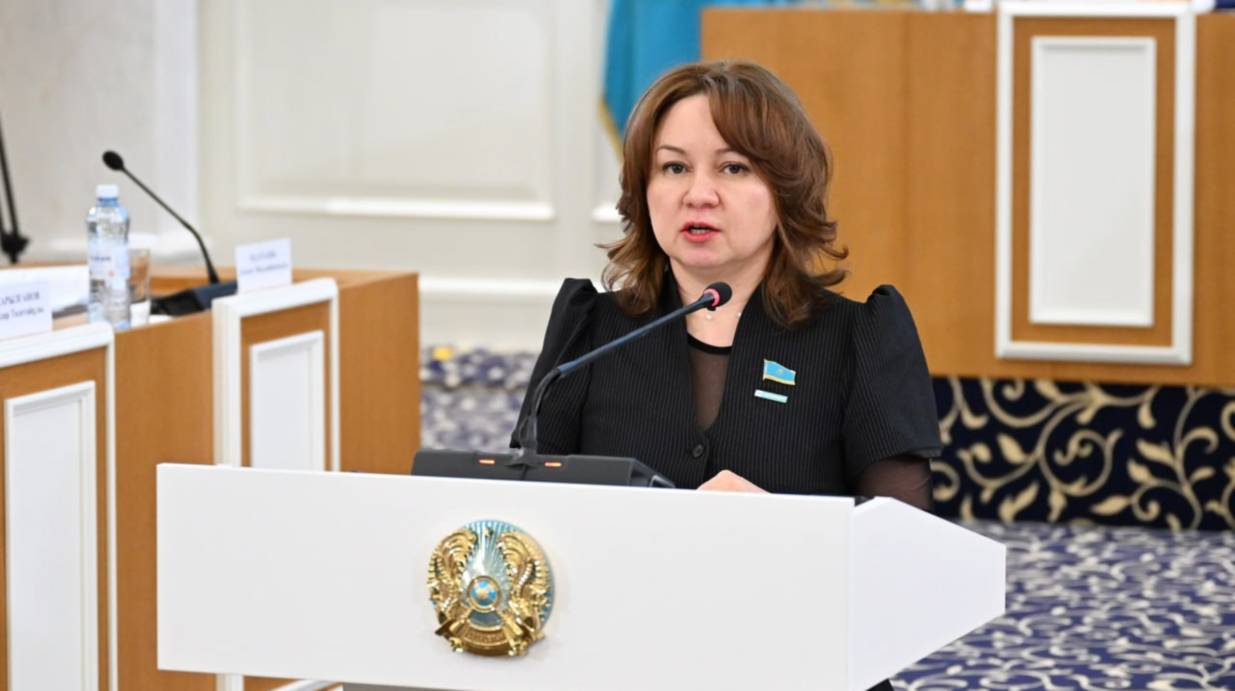 Жаңа Конституцияда өтпелі кезеңнің барлық рәсімдері, мерзімдері мен регламенттері нақты жазылады