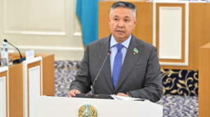 «Aq jol» partıasy jańa Konstıtýsıa jobasyn qoldady