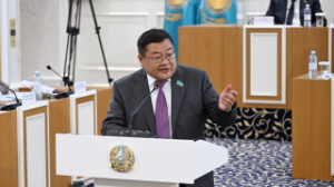 Jańa Konstıtýsıa jalpyhalyqtyq referendýmǵa shyǵarýǵa daıyn – Aıdos Sarym