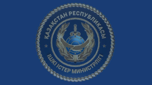 ءىىم ەلىمىزدە كىمدەر قىلمىستىق جانە اكىمشىلىك امنيستياعا ىلىگۋى مۇمكىن ەكەنىن ءتۇسىندىردى 
