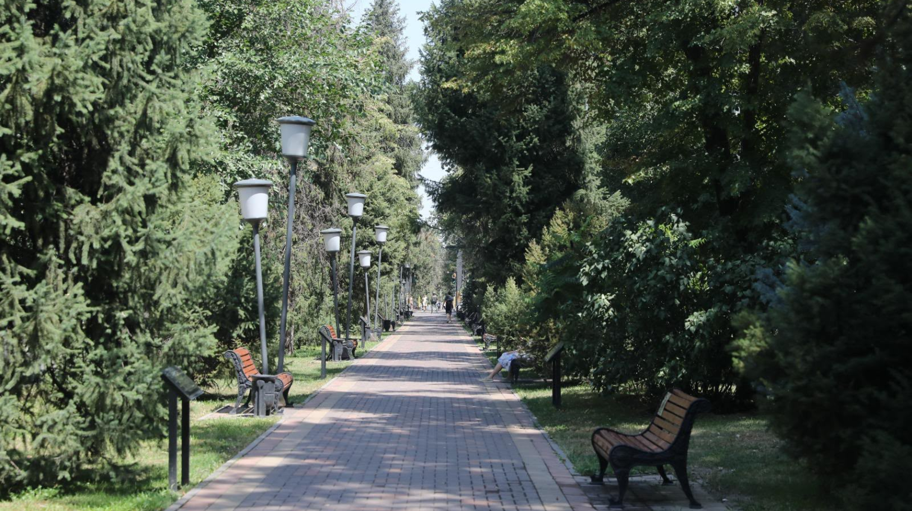 Алматыда Жамбыл және Төле би көшелерінде 14 шақырымнан астам автоматты суару желісі тартылды