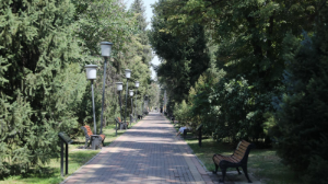 Алматыда Жамбыл және Төле би көшелерінде 14 шақырымнан астам автоматты суару желісі тартылды